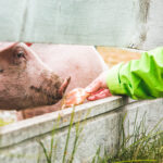 fagerdalen-seterstøl-33